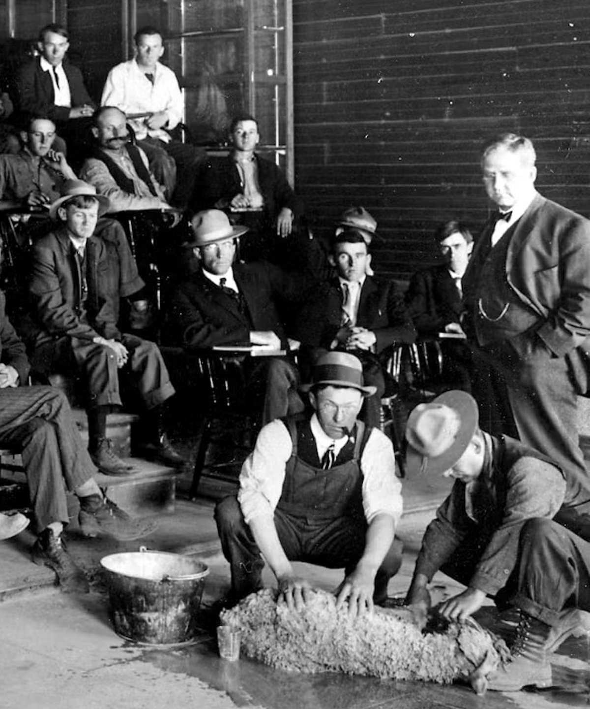 Historical Davis California scene